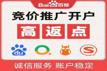 SEM服务优势案例分享
